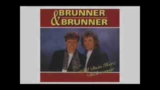 Brunner amp Brunner Hitmix  2009 [upl. by Derby880]