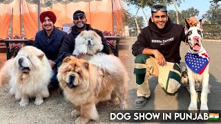 Biggest Dog Show in PunjabIndia Patiala Dog Show😱 [upl. by Ahsyek]