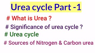 Urea cycle What is urea sources of urea nitrogen and carbonSignificance amp Reactions of Urea cycle [upl. by Colman]