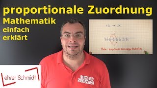 Proportionale Zuordnung  Mathematik  Lehrerschmidt  einfach erklärt [upl. by Durware645]