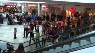 Flashmob Proposal  Bruno Mars quotMarry youquot  IPAA Take two [upl. by Nwad]