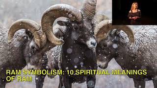 Ram Symbolism 10 Spiritual Meanings Of Ram [upl. by Thurmond585]