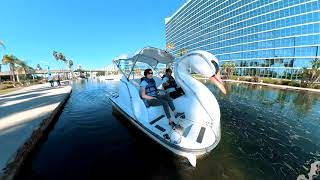 Riding a swan boat in Long Beach CA [upl. by Joacimah]