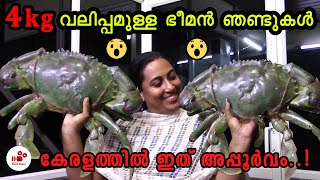 Giant Crab  4 കിലോ വലിപ്പമുള്ള ഭീമൻ ഞണ്ടുകൾ  Gaint crabs from kerala  Good share [upl. by Alien49]