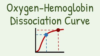 Oxygen Hemoglobin Dissociation Curve [upl. by Levon]