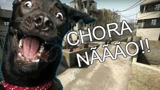 CACHORRO CHORANDO JOGANDO CSGO [upl. by Gelb]