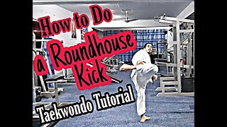 How to Do a Roundhouse Kick  Taekwondo Tutorial [upl. by Cozza]