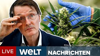 CANNABIS Kiffer jubeln Bundesrat gibt grünes Licht für Legalisierung  WELT Newsstream [upl. by Goulette531]