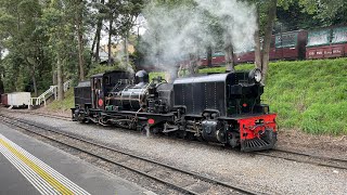 Puffing Billy Train Ride [upl. by Lustick701]