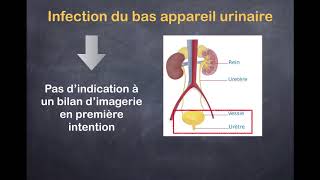 Infections urinaires  1 Quels examens prescrire [upl. by Yngiram]