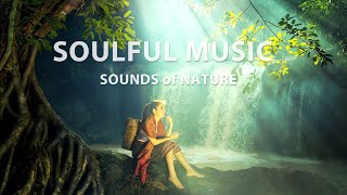 Music of nature Sounds of nature Soulful music [upl. by Mcintosh12]