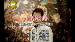 袁小迪枕頭伴官方KTV版 [upl. by Nrevel410]