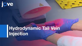 Hydrodynamic Tail Vein Injection to Genetically Modify Hepatocytes  Protocol Preview [upl. by Verina874]