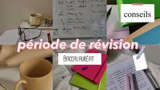 Mention quotTrès Bienquot au Baccalauréat et au Brevet 2019 [upl. by Adnilec72]