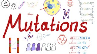 Types of Mutations  Changes in the Gene Pool  Genetic Drift  Biology 🧬 [upl. by Nwahsor]