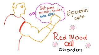 Erythropoietin EPO amp Red Blood Cells RBCs  Oxygenation  Endurance  Exercise [upl. by Hannaj764]