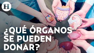 ¿Cómo donar órganos después de morir en México Cruz Roja explica cómo puedes salvar vidas [upl. by Emory]