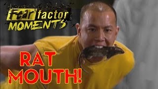 Fear Factor Moments  Rat Transfer [upl. by Lew72]