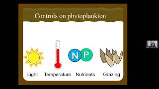 Algal Bloom Action Team Webinar Series Cyanobacteria in the context of climate change [upl. by Riggins993]