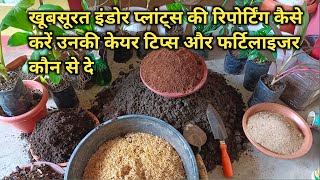 खूबसूरत इंदौर प्लांट्स की रिपोर्टिंग कैसे करें उनकी बेस्ट केयर टिप्स और फर्टिलाइजर कौन सा देना चाहिए [upl. by Sirret951]