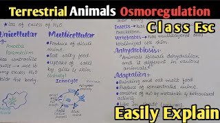 Osmoregulation In Terrestrial Environment Explain In Urdu Hindi  Class 12 Biology [upl. by Rendrag]