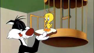 Tweety and Sylvester [upl. by Crooks]