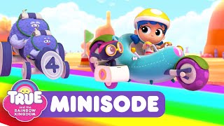 Rainbow Race  NEW Minisode  True and the Rainbow Kingdom  🏎️💨 [upl. by Hutson830]