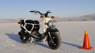 Скутер Honda Zoomer 50 AF58 PGMFI kupiscooterru [upl. by Nylorac38]