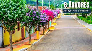 8 ÁRVORES NATIVAS BRASILEIRAS PARA JARDINS E CALÇADAS [upl. by Ahsiened]