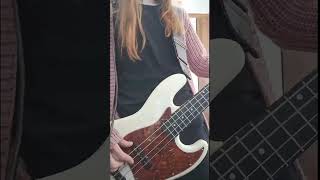 Lash Take me away Bass cover [upl. by Eniretak]