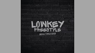 Lowkey Freestyle [upl. by Pinckney]