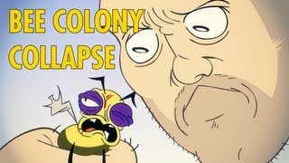 Bee Colony Collapse  animated music video  MrWeebl [upl. by Avalsorim]