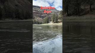 Fly Fishing the CROOKED RIVER in Oregon [upl. by Lahsiv]