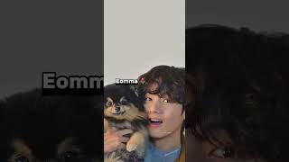 Im yeontans Eomma okay🌚 bts v yeontan taehyung [upl. by Yelyr]