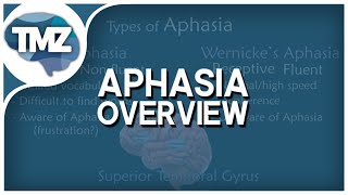 APHASIA OVERVIEW  Types of Aphasia Brocas Wernickes Amnestic Conductive and Mixed [upl. by Yrroc]