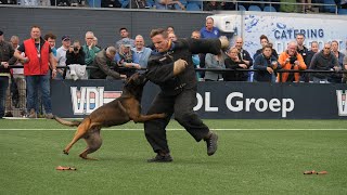 Nederlandse Kampioenschappen KNPV 2021 Schotstellen 04  09 [upl. by Dorette]