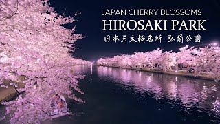 弘前公園 日本一の絶景桜名所 8K Beautiful Cherry Blossoms in Hirosaki Park Japan  東北の風景 弘前城の夜桜 Sakura Landscape [upl. by Ambrosia]