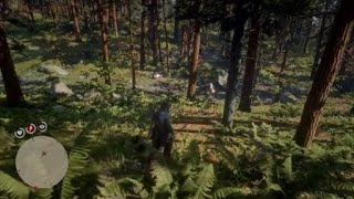 Red Dead Redemption 2 Found a Skinners Camp [upl. by Kingston]