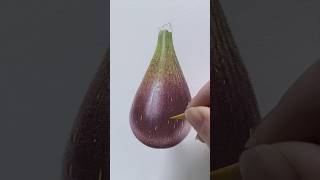 Fig in Coloured Pencil Full tutorial available on my channel now colouredpencil art drawing [upl. by Conroy]