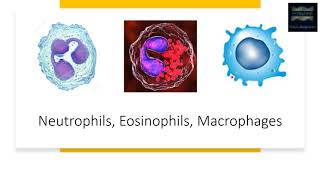 Tumor Necrosis Factor [upl. by Felise]