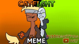 Catfight Meme  Paintbrush and Silver Spoon  Inanimate Insanity [upl. by Trina]