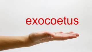 How to Pronounce exocoetus  American English [upl. by Htaras]