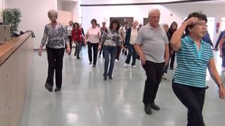 Yankee Doodle Dandy  Line Dancing  Choreographed by Mike Shannon [upl. by Dnarud]