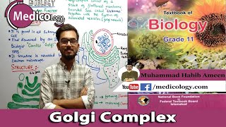 Golgi Complex  Structure and function  Federal Board Biology XI [upl. by Boswall]