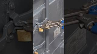 High security padlock system locksmith lockpicking homesecurity springonshorts container [upl. by Nawad]