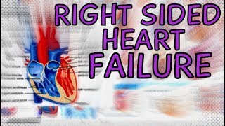 Right Sided Heart Failure  Explained in 2 Minutes Right Ventricle Failure [upl. by Haberman]