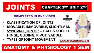 Joints Complete  Classification of Joints  Synovial Joints  Ch 3 U 2  Hap 1st sem b pharmacy [upl. by Doss]