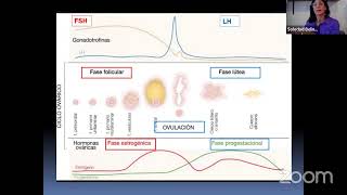 PARALELO DE HISTOLOGÍA GLÁNDULAS ENDÓCRINAS [upl. by Aleafar]