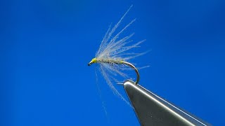 Tying a CDC Waterhen Bloa Soft Hackle Wet Fly with Davie McPhail [upl. by Justicz959]