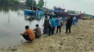 Restocking Udang Windu Hasil Pembenihan Mandiri Mahasiswa Prodi Akuakultur Universitas Samudra [upl. by Chrissy]